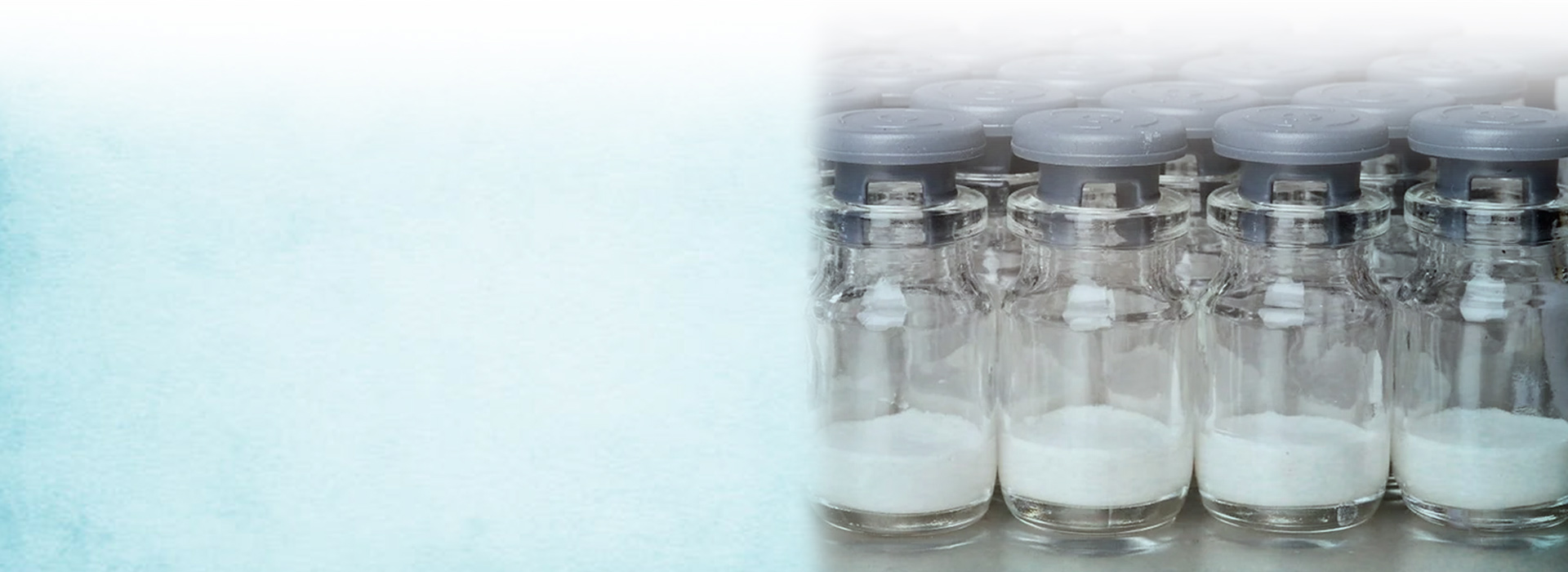 Rows of sealed vials holding lyophilised product